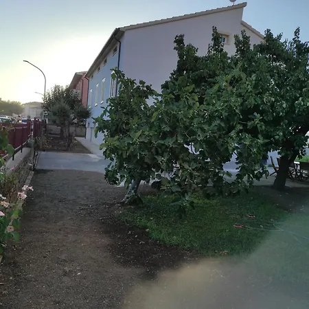 La Lenzerina